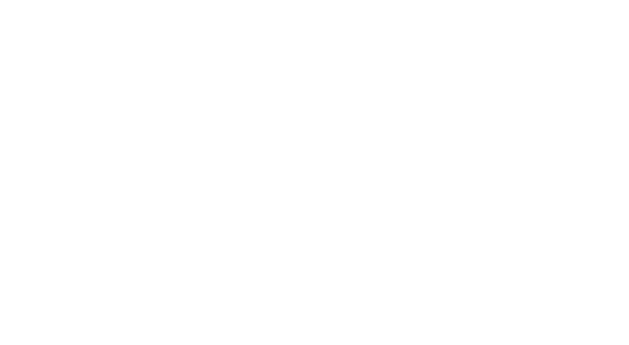 Diamond Lotus Coaching